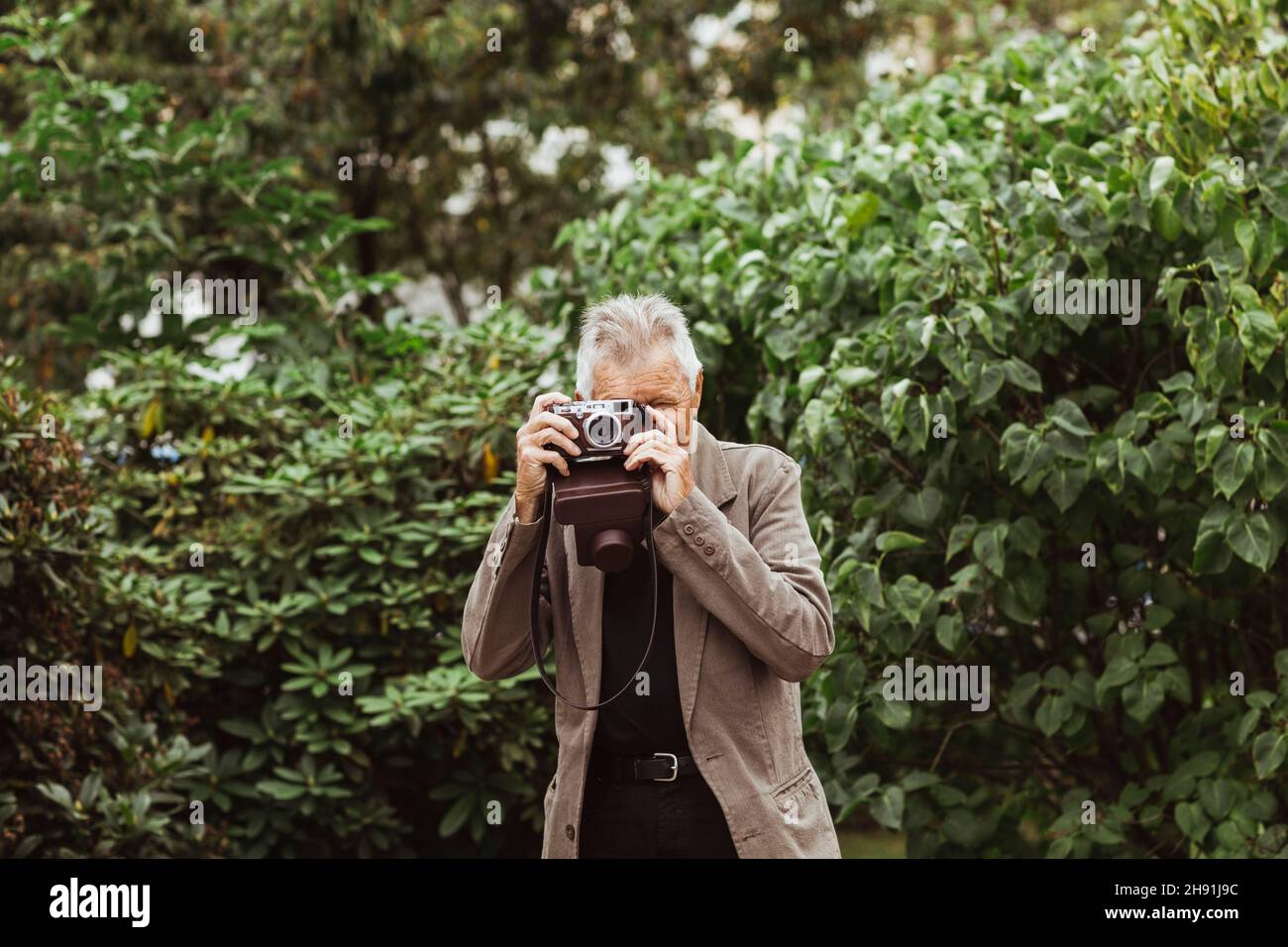Hombre anciano fotografiando a través de la cámara contra las plantas en el parque Foto de stock