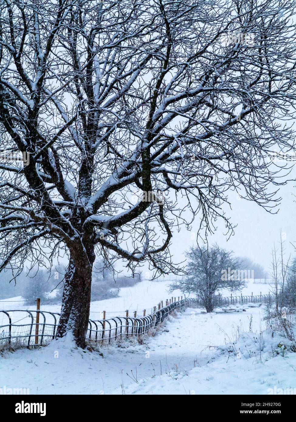 Paisaje cubierto de nieve con árboles en High Tor en Matlock Bath en el Derbyshire Peak District Inglaterra Reino Unido Foto de stock
