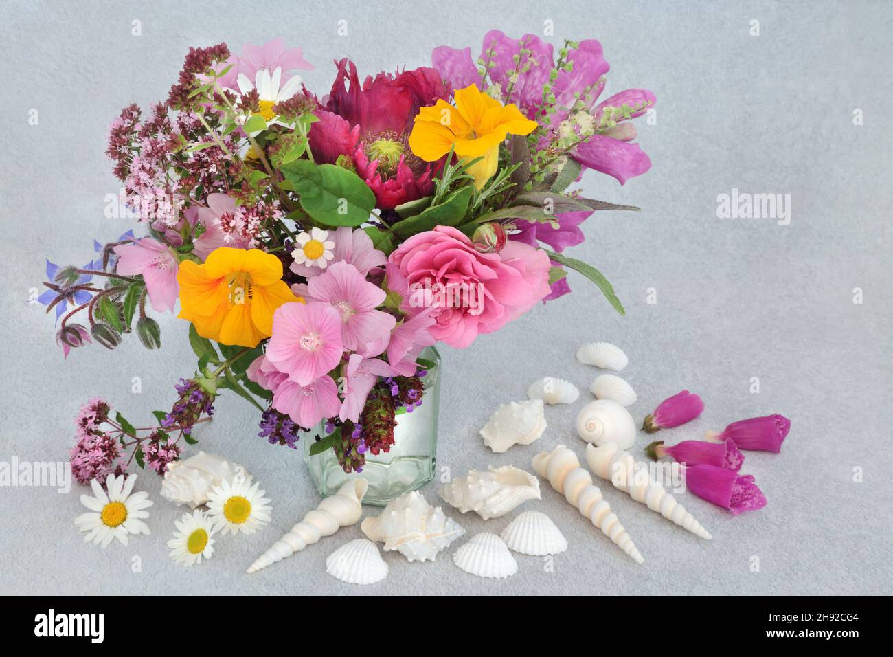 Arreglo floral inglés de verano en un jarrón con flores silvestres, hierbas y conchas de mar blancas. Flores utilizadas en remedios herbarios de la medicina de la planta. Foto de stock