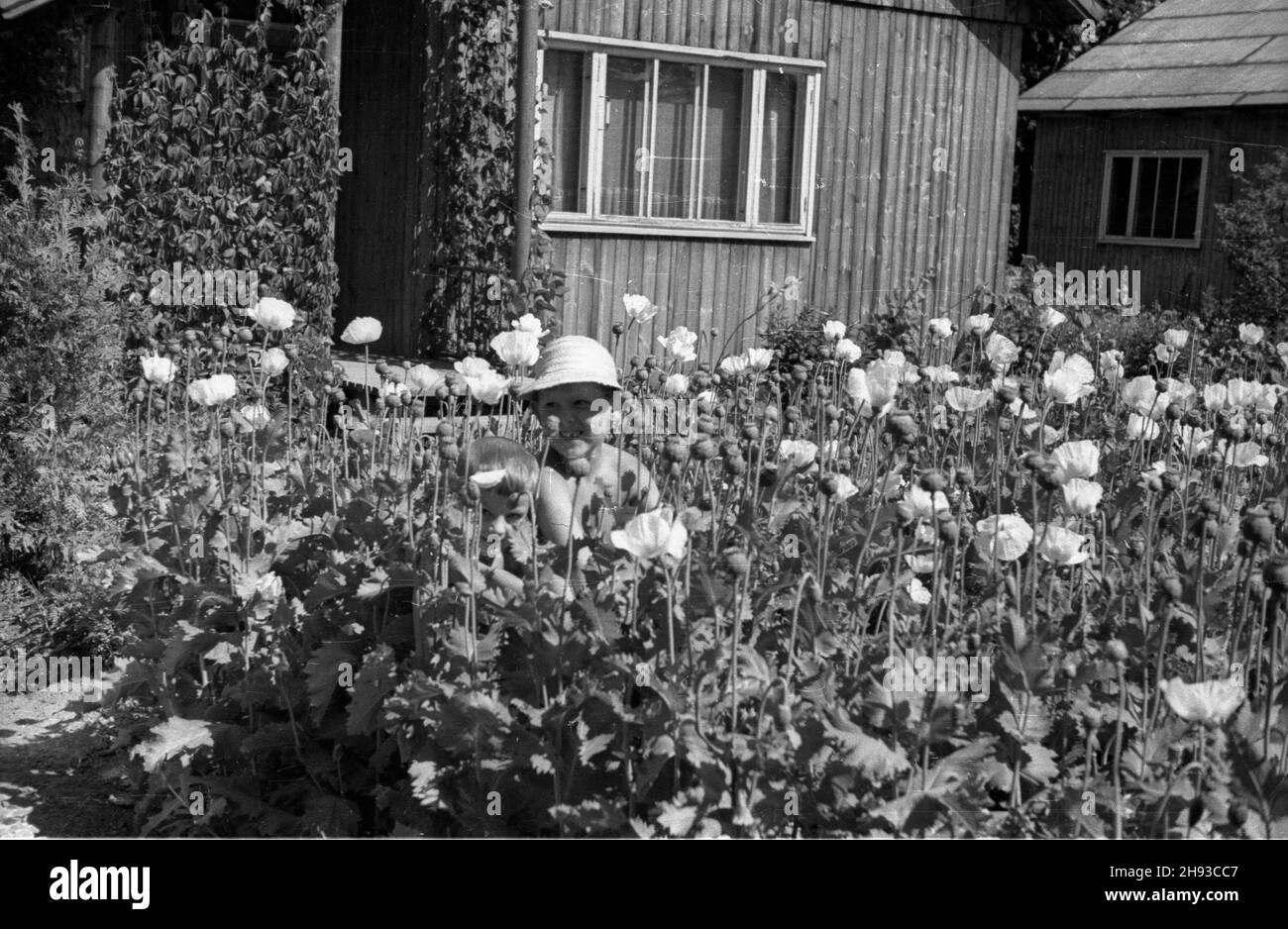 Warszawa, 1947-06. Osiedle domków fiñskich na Górnym Ujazdowie. Budowanymi  z drewnianych prefabrykatów jednorodzinnymi domkami Finlandia sp³aca³a  reparacje wojenne narzucone jej przez Zwi¹zek Radziecki. po/ms PAP Dok³adny  dzieñ wydarzenia nieustalony ...