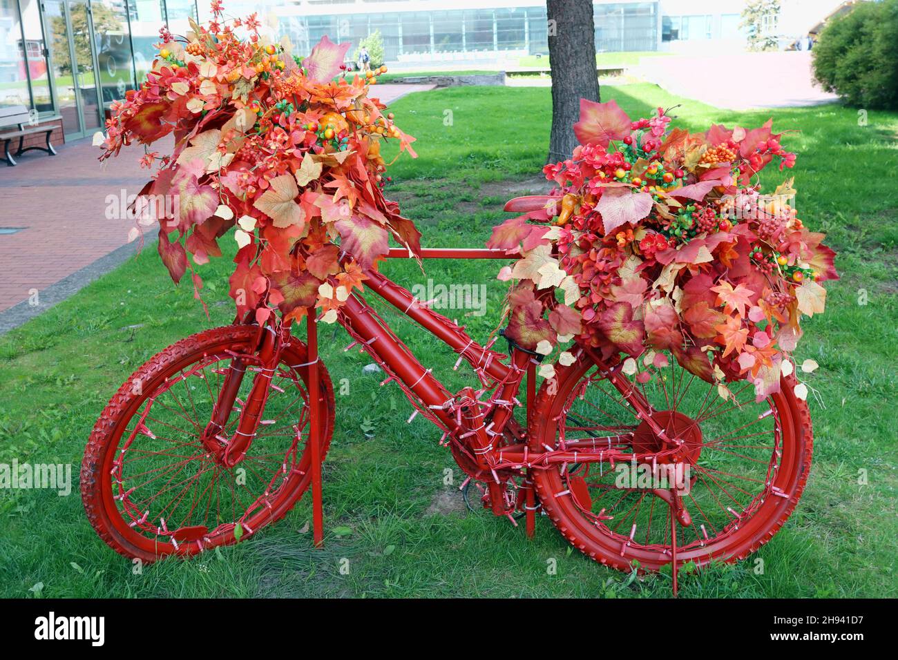 La vieja bicicleta está pintada de rojo. Las flores y las hojas de otoño decoran las ruedas Foto de stock