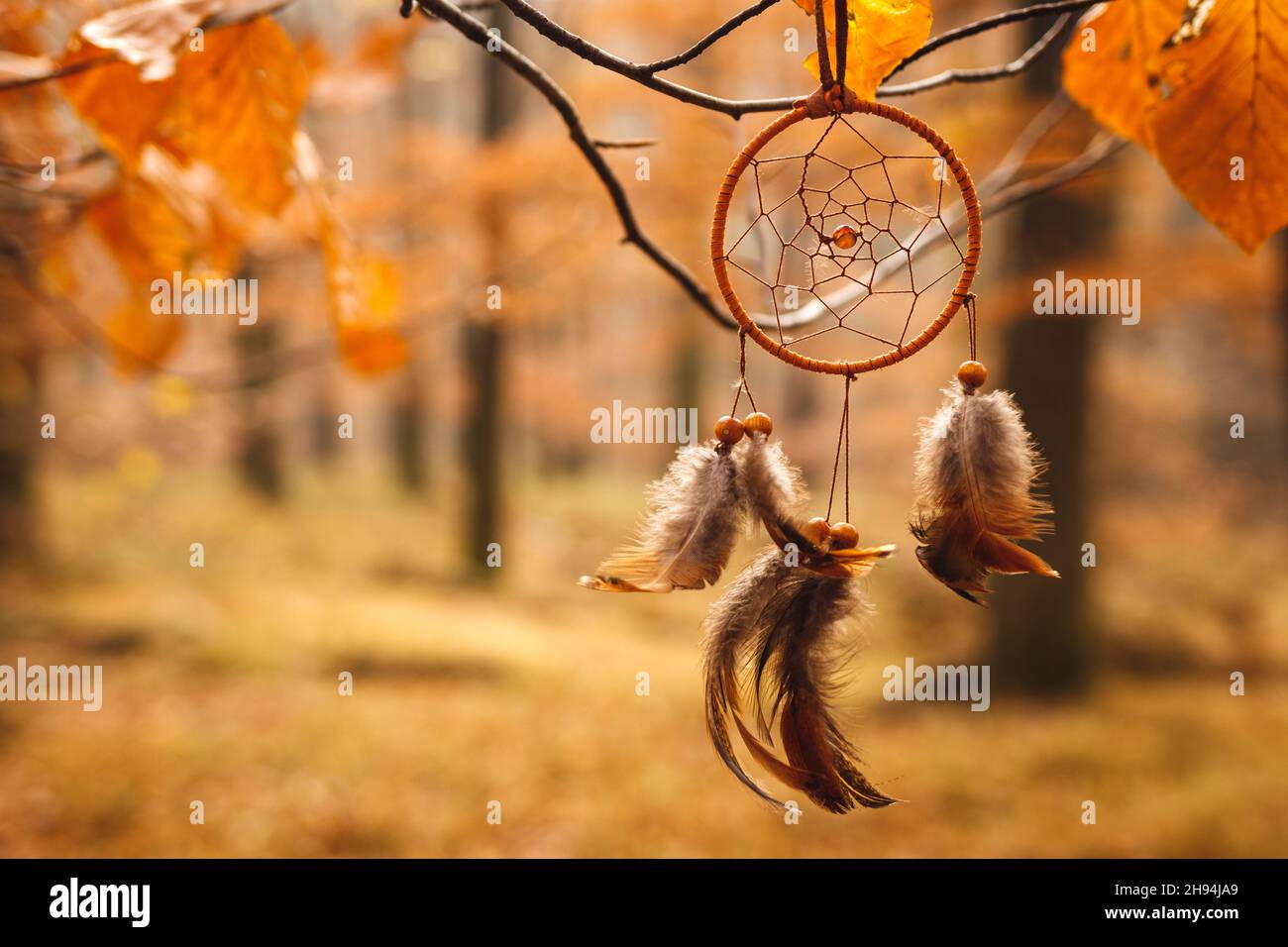 Atrapasueños del bosque fotografías e imágenes de alta resolución - Alamy