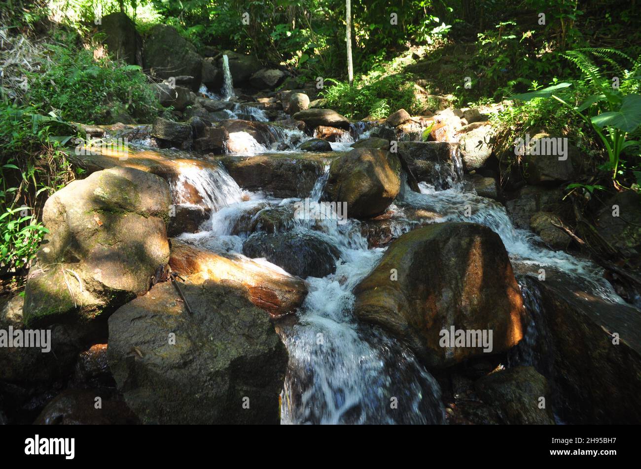 Corriente natural de agua que fluye a través de las rocas Foto de stock