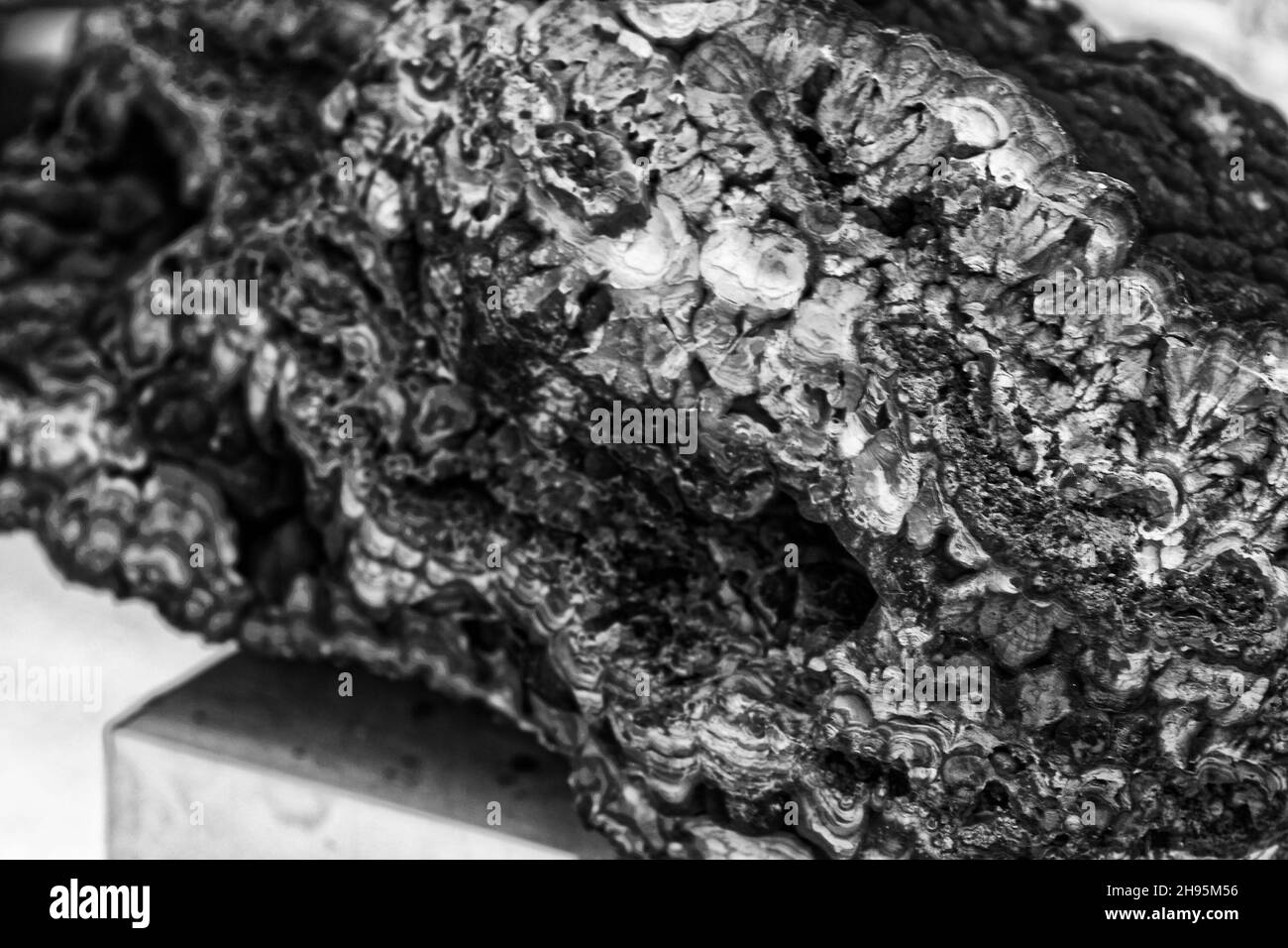 Foto Malaquita, mineral, carbonato de cobre básico, dihidroxocarbonato de cobre, masas verdes, forma de sap, estructura radial-fibrosa Foto de stock