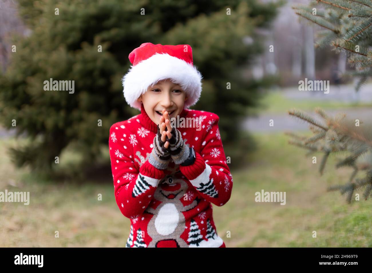 Un niño alegre en un jersey rojo de Navidad con un reno y un sombrero de  Santa es en el parque donde crecen los árboles de Navidad, el niño se frota  con