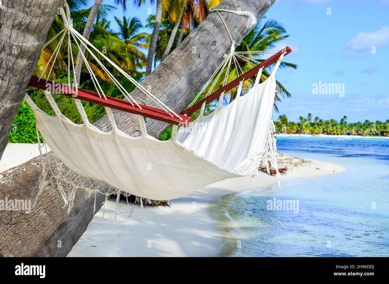 Playa idílica con cocoteros y hamaca en la República Dominicana Fotografía  de stock - Alamy