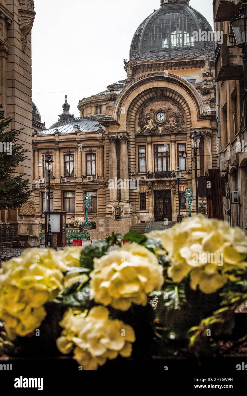 El Palacio de los depósitos y las remesas (palacio de los bancos) flores amarillas en un día lluvioso, situado en el casco antiguo de Bucarest (Centru Vechi) Rumania. Foto de stock
