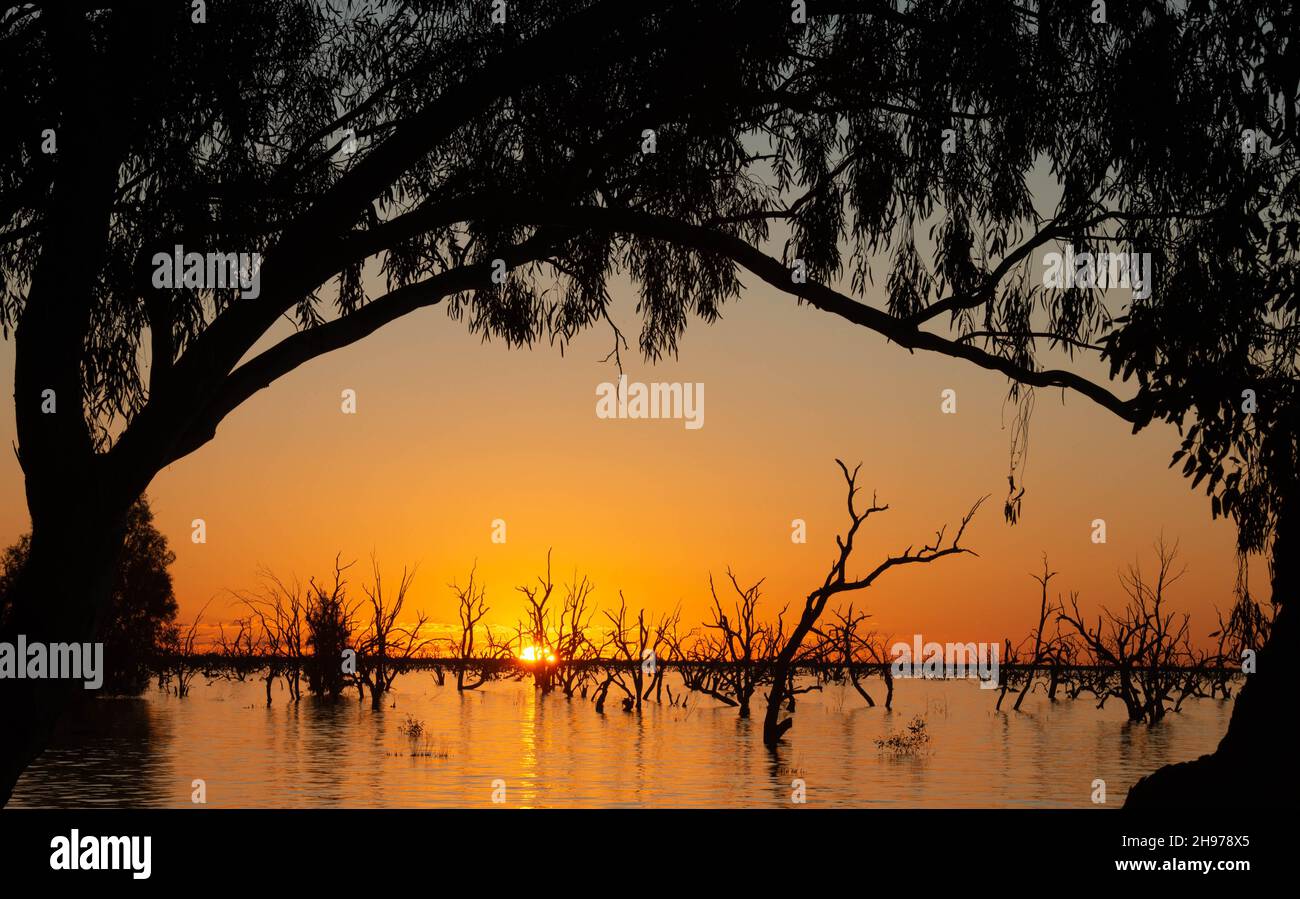 Menindee lagos al atardecer en el extremo oeste de Nueva Gales del Sur, Australia. Foto de stock