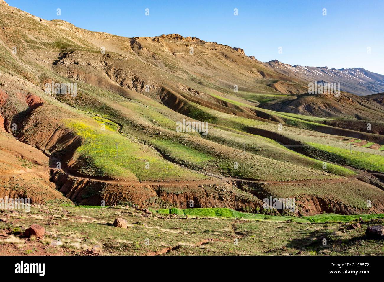 En las montañas del Atlas en Marruecos. Una pista de tierra en la ladera de la montaña. Los rastros de vegetación tiñen las laderas áridas verde Foto de stock