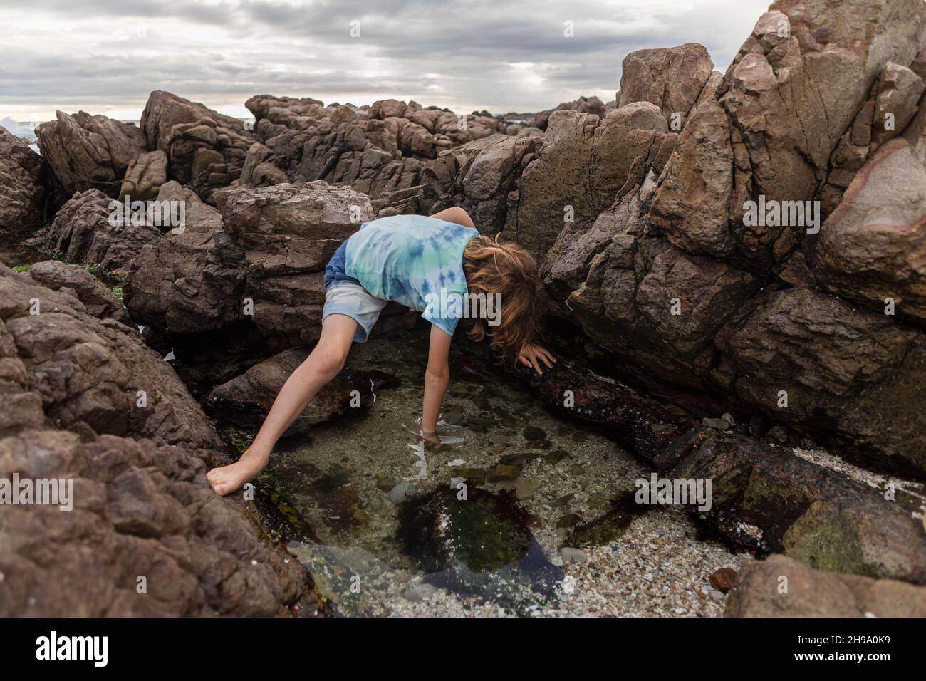 Persona explorando la piscina de marea fotografías e imágenes de alta