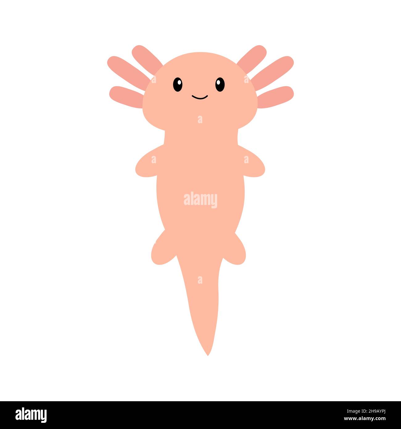 Lindo axolotl de dibujos animados. Ilustración vectorial. Ilustración del Vector
