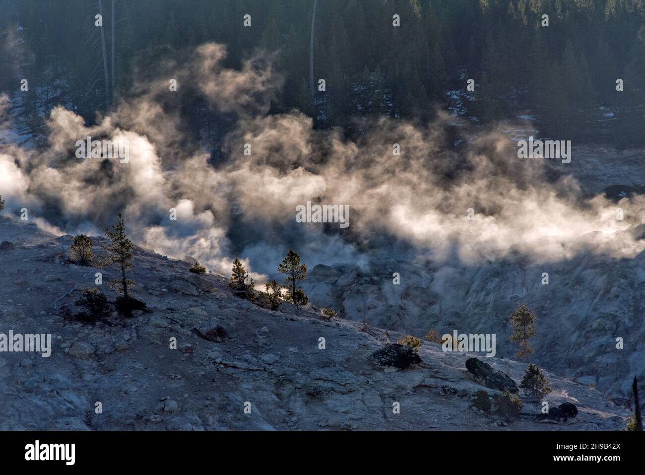 Fumarolas (respiraderos de vapor) en la ladera de Roaring Mountain, Parque Nacional Yellowstone, Estado de Wyoming, Estados Unidos Foto de stock