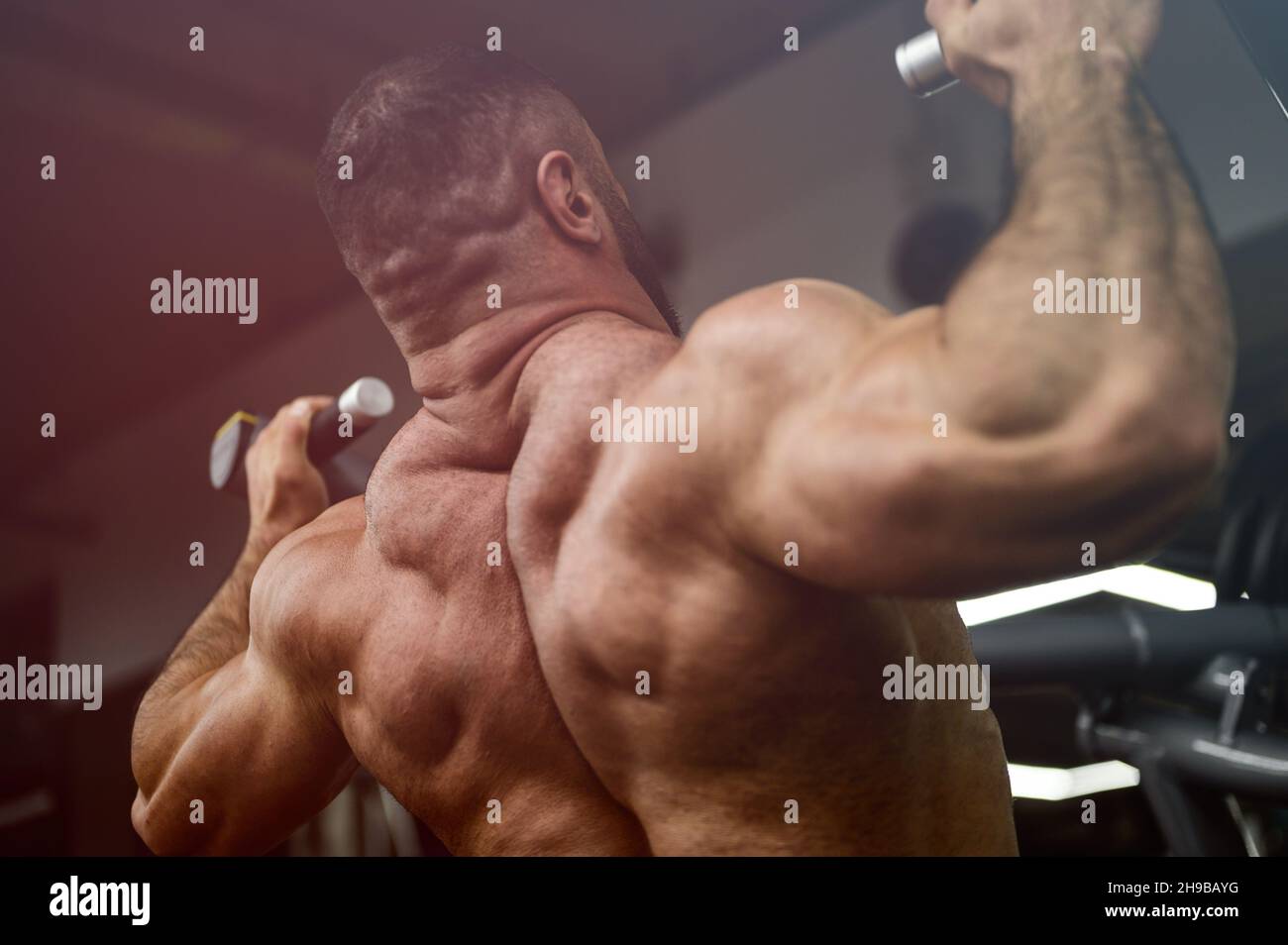 fuerte musculoso masculino atleta entrenando el músculo de la espalda en el gimnasio deportivo Foto de stock