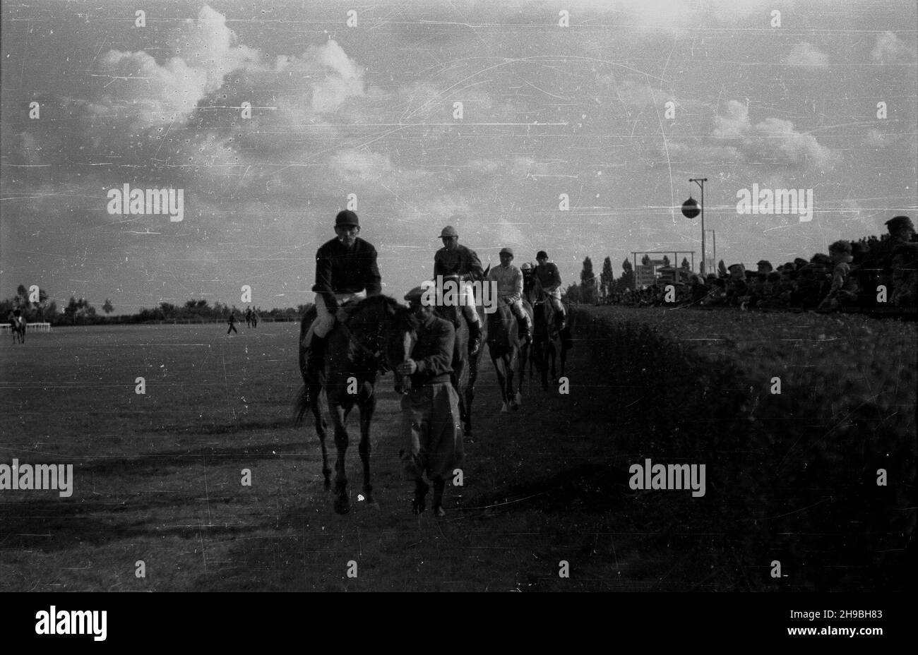 Warszawa, 1947-09-01. Pierwsze powojenne derby na torze wyœcigów konnych na S³u¿ewcu. NZ. Prizentacja koni na padoku. ka PAP Varsovia, 1 de septiembre de 1947. El primer Derby después de la guerra en el hipódromo de Sluzewiec. Foto: Presentación de caballos en el paddock. ka PAP Foto de stock