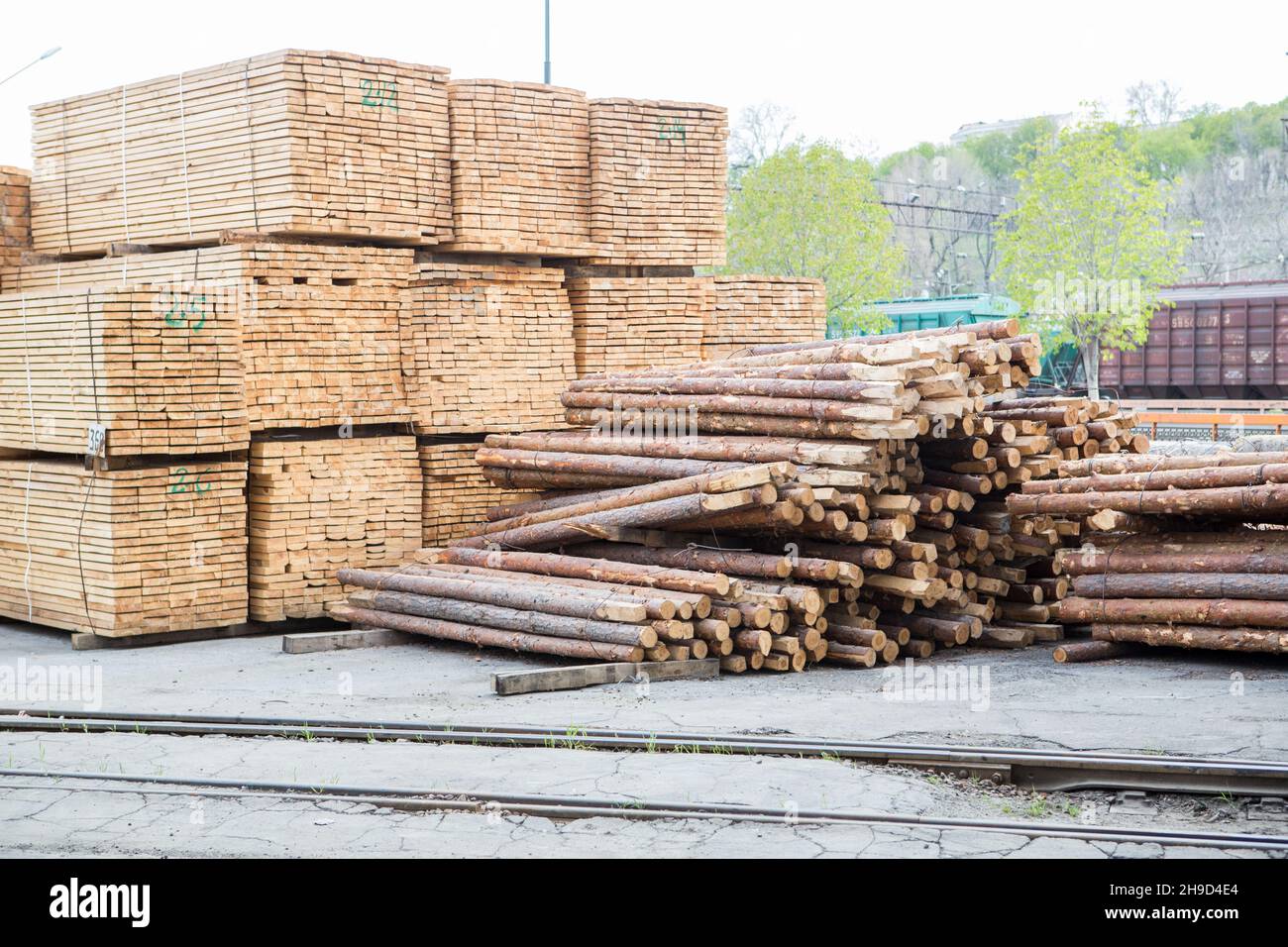 carga de madera en el puerto. madera para exportación en el momento de la terminal. pila de madera. bosque ehport Foto de stock