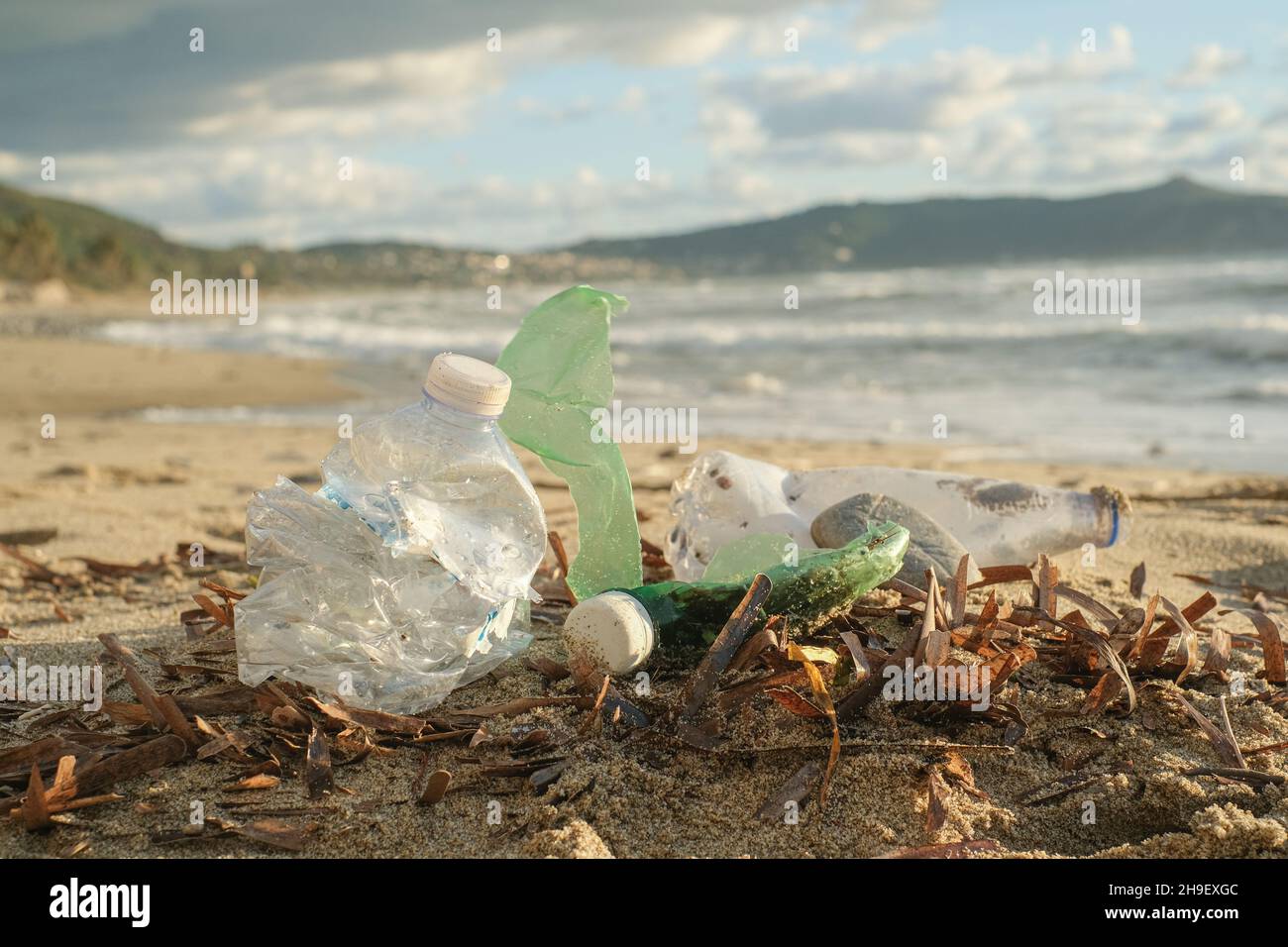 Botellas de plástico desechadas en contaminación hábitat de costa de mar oceánica contaminada, desechos de naturaleza ambiental Foto de stock