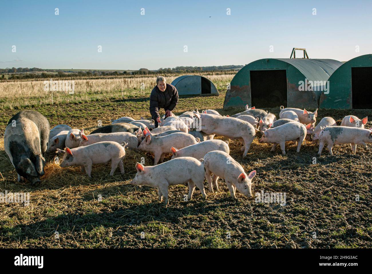 HELEN BROWNING, Directora Ejecutiva de la Asociación de Suelos y criadora de cerdos orgánicos en la granja Eastbrook Bishopstone , Reino Unido Foto de stock