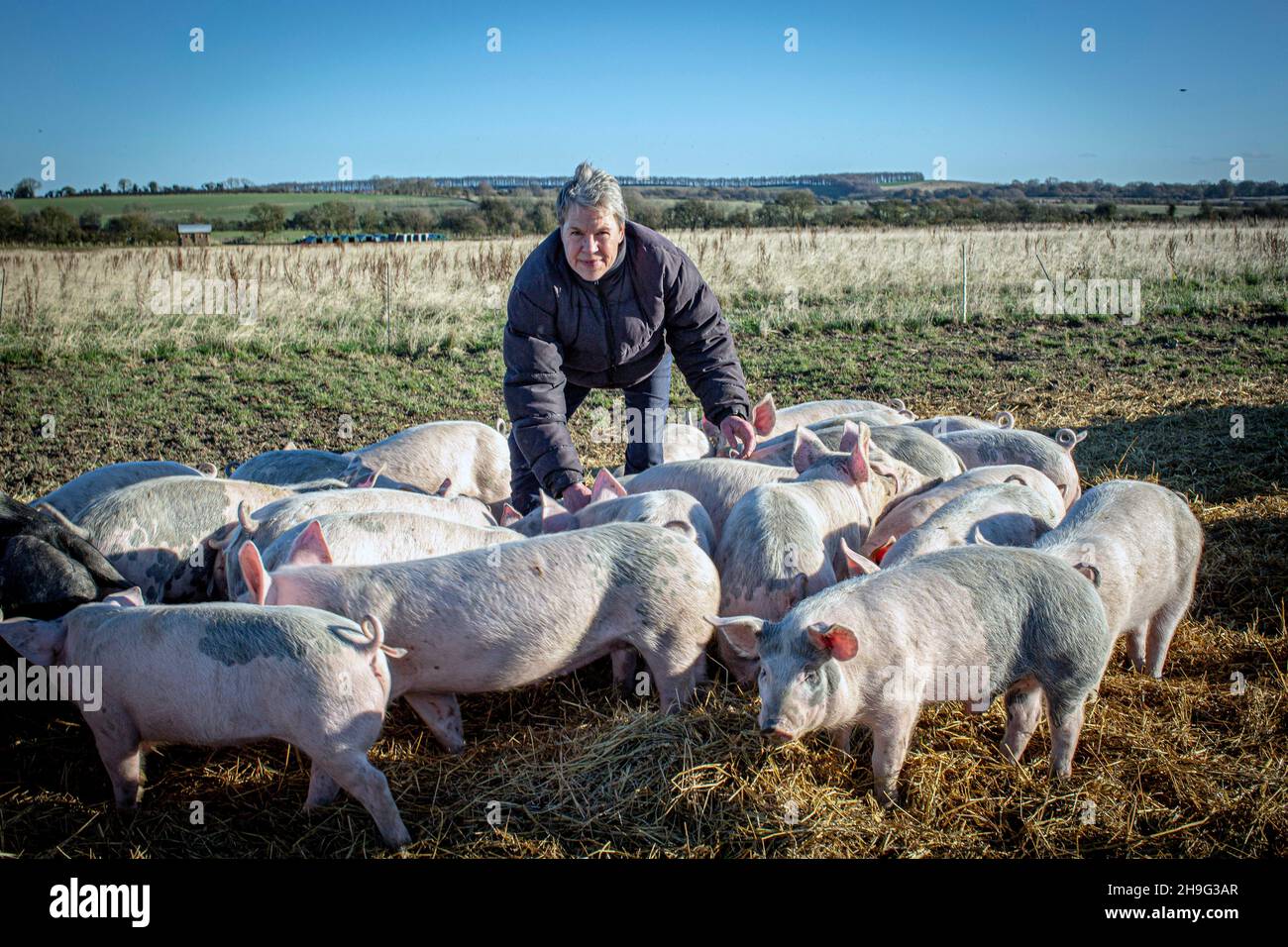HELEN BROWNING, Directora Ejecutiva de la Asociación de Suelos y criadora de cerdos orgánicos en la granja Eastbrook Bishopstone , Reino Unido Foto de stock