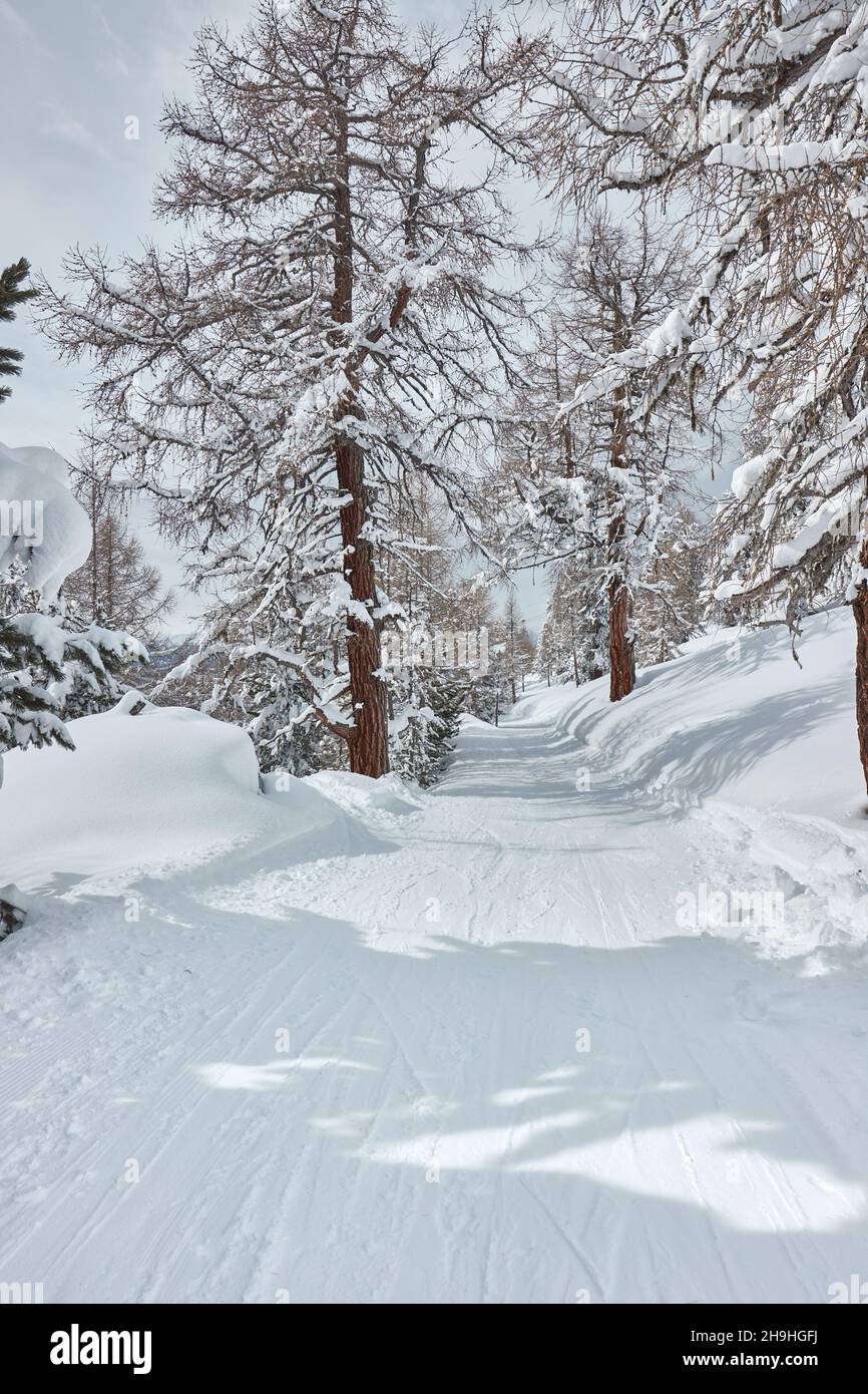 Paisaje de las montañas nevadas de invierno Foto de stock