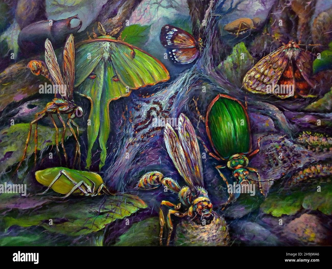Fondos de pintura de arte para el diseño Color de aceite Crecimiento de insectos , Mariposa nocturna Foto de stock