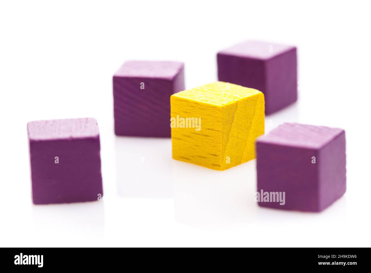 cubos, amarillo, violeta, contraste de color, blanco, púrpura, varios, fondo, muchos, cuatro, lado a lado, cuadrado, aislado, opcional, bloques de madera, contra Foto de stock