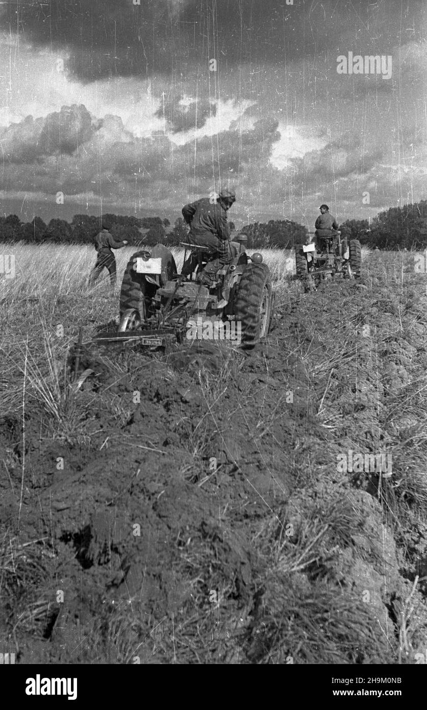 Warszawa, 1948-09. Brygada Traktorowa Zwi¹zku M³odzie¿y Polskiej pomaga w pracach polowych w maj¹tku Pañstwowych Nieruchomoœci Ziemskich (PNZ) w Warszawa. NZ. traktorzyœci na czeskich traktorach Zetor 25. msa PAP Dok³adny dzieñ wydarzenia nieustalony. Warszawa, 1948 de septiembre. La Brigada Polaca de Tractor de la Unión Juvenil ayuda en el trabajo de campo en la propiedad estatal desembarcada (PNZ) en Warszawa. En la imagen: Conductores de tractores en tractores Zetor 25 checos. msa PAP Foto de stock