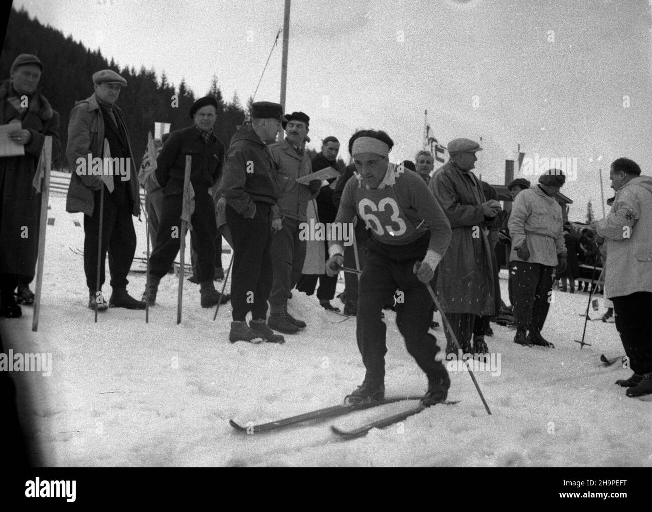 Zakopane, 1949-02-24. OD 23 lutego do 3 marca odbywa³y siê Miêdzynarodowe Zawody narciarskie o Puchar Tatr. Zgromadzi³y One kilkudziesiêciu sportowców z Polski, Bu³garii, Czechos³owacji, Finlandii, Rumunii i i Wêgier. Pierwszego dnia zawodów odby³ siê bieg mê¿czyzn na 18 kilometrów, zaliczany do kombinacji norweskiej. Zwyciê¿y³ Jaroslav Cardal z Czechos³owacji. Nz. Franek Tadeusz G¹sienica z Polski na starcie biegu na stadionie Pod Krokwi¹. pap pw Zakopane, 24 de febrero de 1949. El Concurso Internacional de Esquí para la Copa de las Montañas Tatra se celebró del 23 de febrero al 3 de marzo. La competitividad Foto de stock
