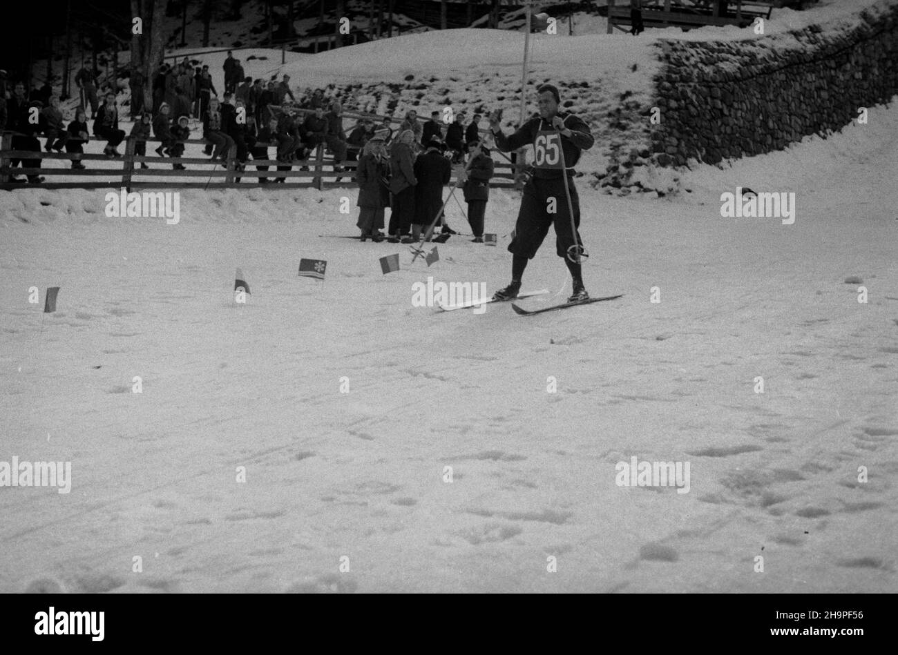 Zakopane, 1949-02-24. OD 23 lutego do 3 marca odbywa³y siê Miêdzynarodowe Zawody narciarskie o Puchar Tatr, z udzia³em kilkudziesiêciu sportowców z Polski, Bu³garii, Czechos³owacji, Finlandii, Rumuni i Wêgier. Bieg mê¿czyzn na 18 kilometrów, zaliczany do kombinacji norweskiej, ze startem i met¹ na stadionie Pod Krokwi¹. Zwyciê¿y³ Jaroslav Cardal z Czechos³owacji. pap pw Zakopane, 24 de febrero de 1949. El Concurso Internacional de Esquí Tatra Mountain Cup se celebró del 23 de febrero al 3 de marzo, reuniendo a varias docenas de competidores de Polonia, Bulgaria, Checoslovaquia, Finlandia, Rumanía y An Foto de stock