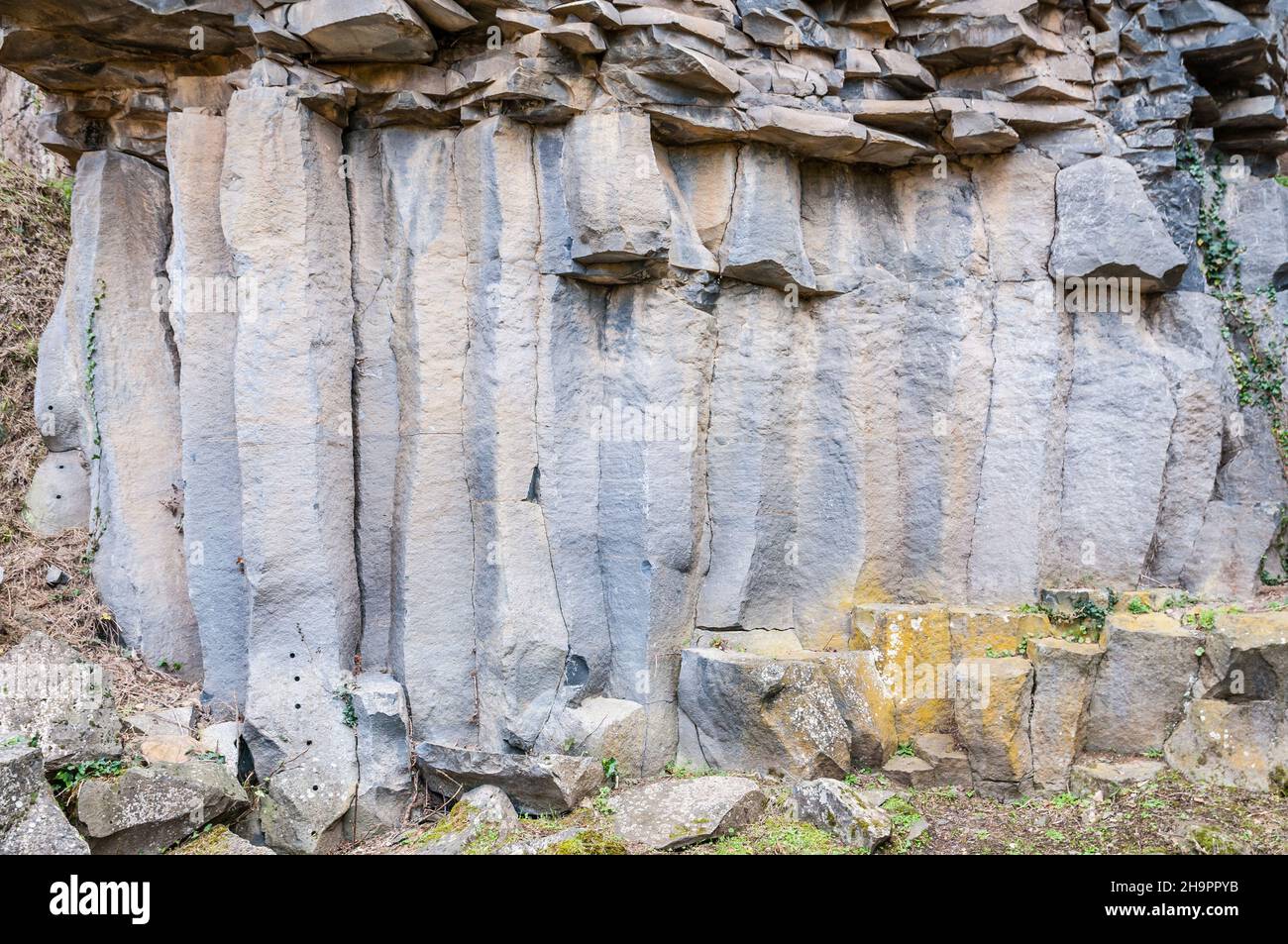Columnas de lava verticales, flujo de lava antigua, columna de basalto, forma hexagonal, Sant Joan les Fonts, Garrotxa, Cataluña, España Foto de stock