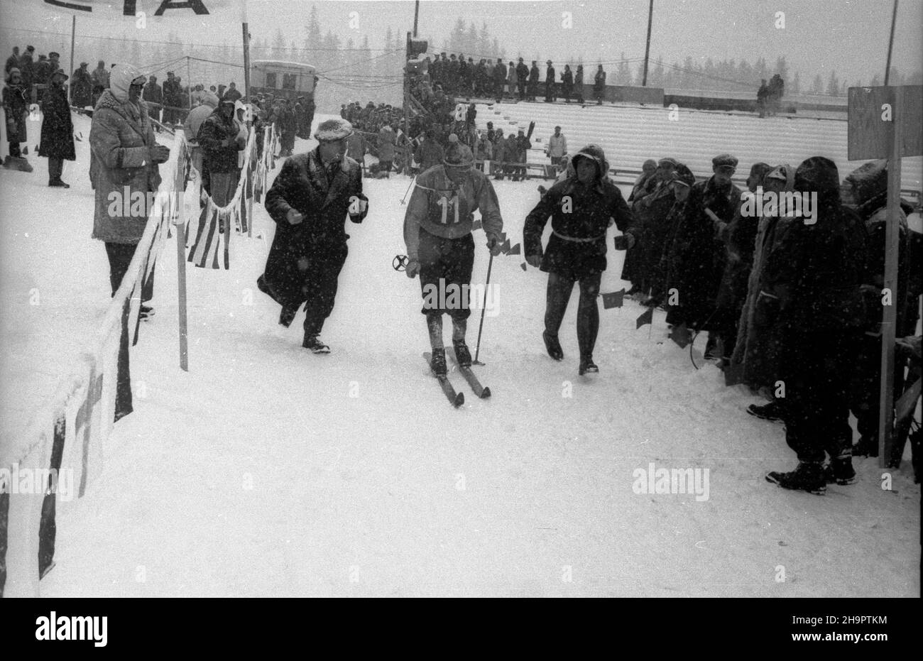 Zakopane, 1949-03-03. Miêdzynarodowe Zawody narciarskie o Puchar Tatr (23 II-3 III). Bieg na 30 km. NZ. Reprizentant Czechos³owacji Ladislav Jon. ka PAP Zakopane, 3 de marzo de 1949. El turismo internacional de esquí para la Copa de las Montañas Tatra (febrero de 23 - marzo de 3). El campo de cruce de 30 kilómetros. Foto: Ladislav Jon de Checoslovaquia. ka PAP Foto de stock