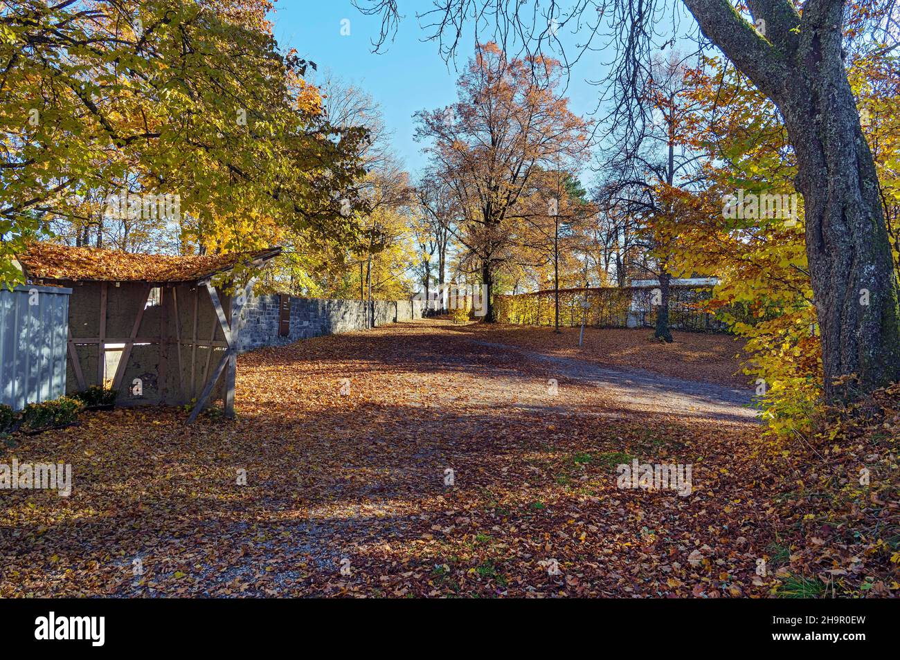 El Burghalde en otoño deja, Kempten, Allgaeu, Baviera, Alemania Foto de stock