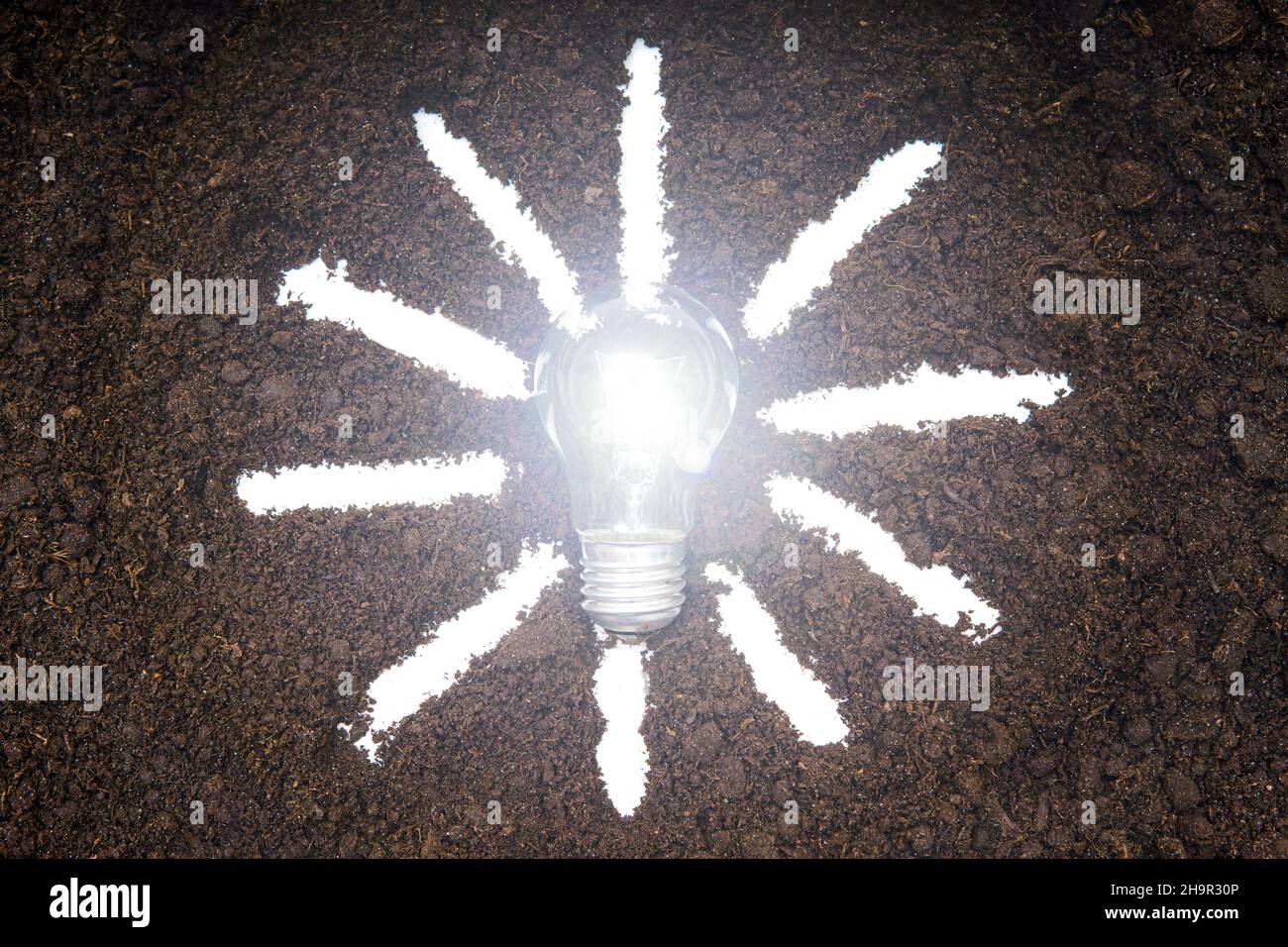 Bombilla de luz brillante con rayos de luz sobre el fondo del suelo. Concepto de energía solar. Foto de stock