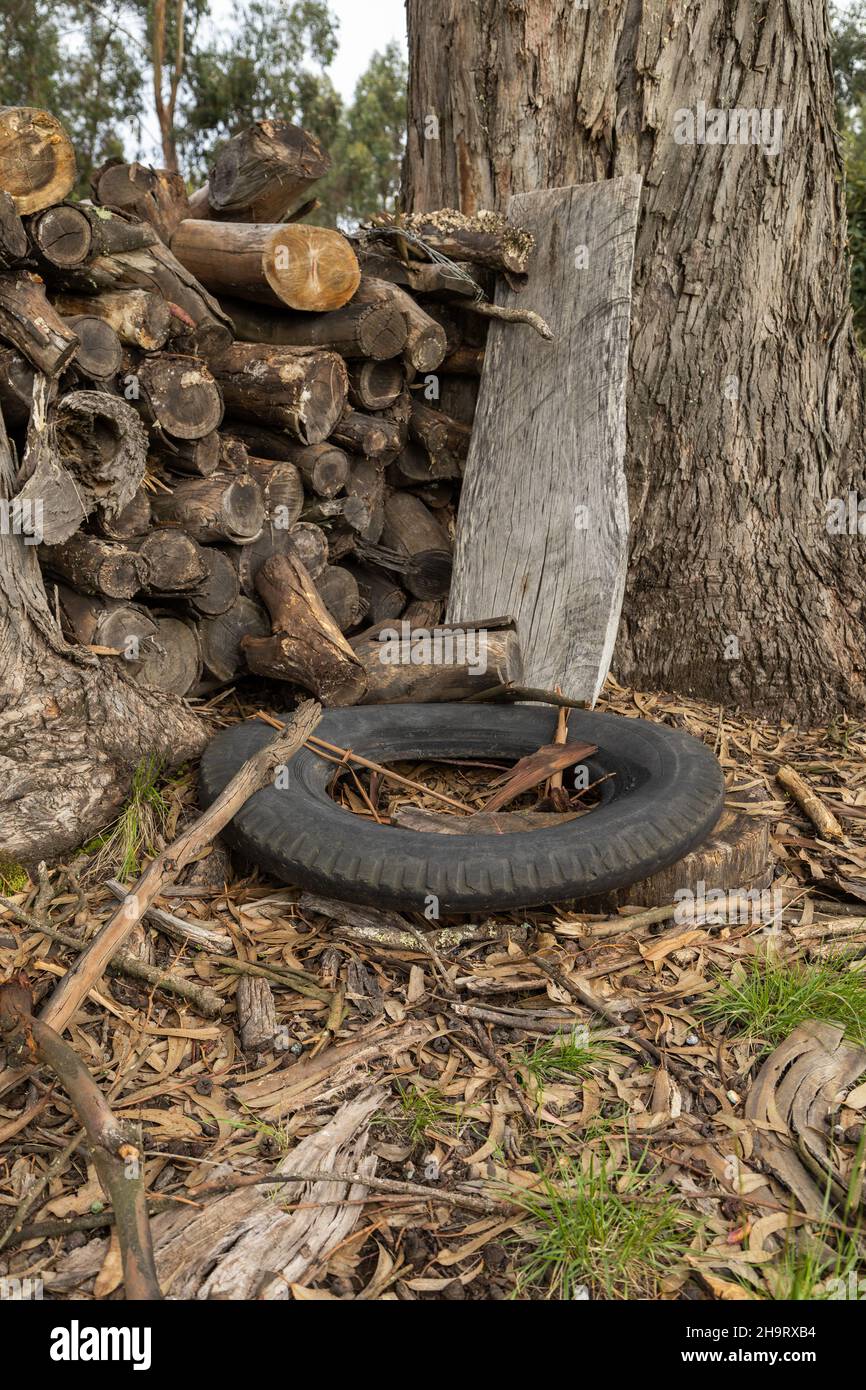 pila de leña organizada en un montón junto a un tronco de árbol y un neumático abandonado en el suelo rodeado de hojas secas, objeto en el medio de la naturaleza Foto de stock