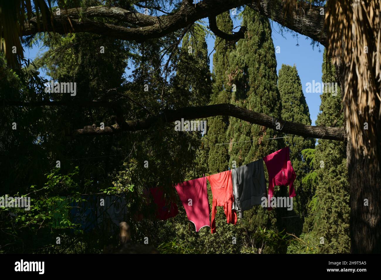 ropa colorida secando en árboles verdes en el parque al aire libre Foto de stock