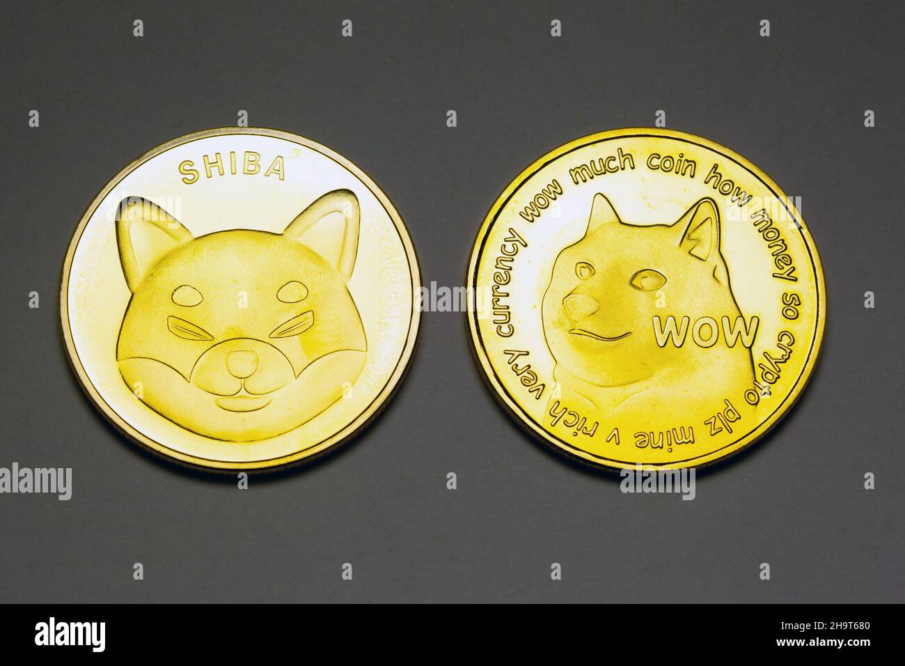 Shiba Inu y Doge moneda meme monedas de criptomoneda Foto de stock