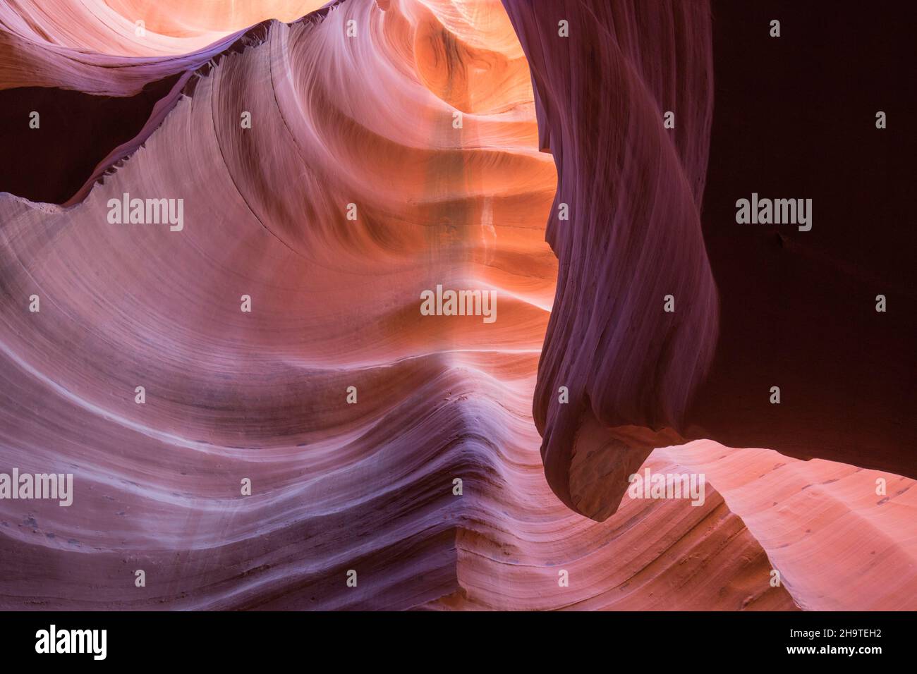 Page, Arizona, Estados Unidos. Las coloridas paredes de arenisca navajo del cañón Antelope inferior esculpidas por el agua en patrones abstractos. Foto de stock