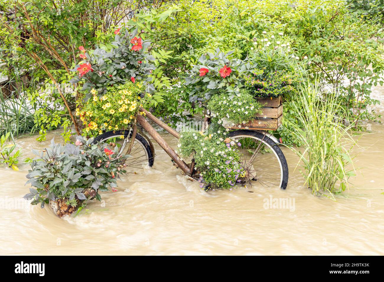 Sendero de pie y bicicleta inundado por fuertes precipitaciones, Alemania, Baviera, Isental Foto de stock