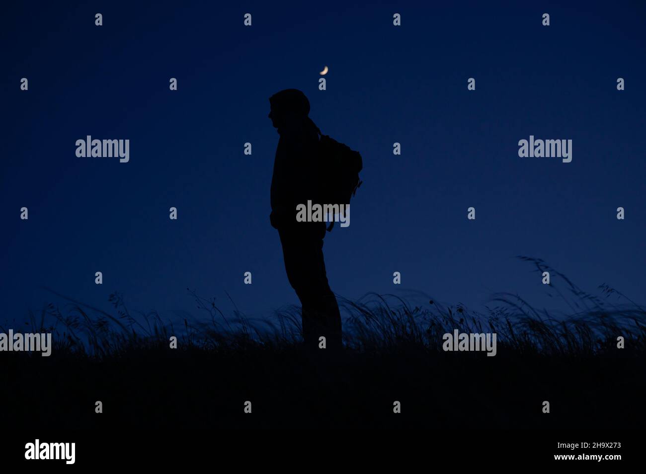 un turista solitario con mochila de pie entre el campo ventoso por la noche con la luna brillando por encima Foto de stock