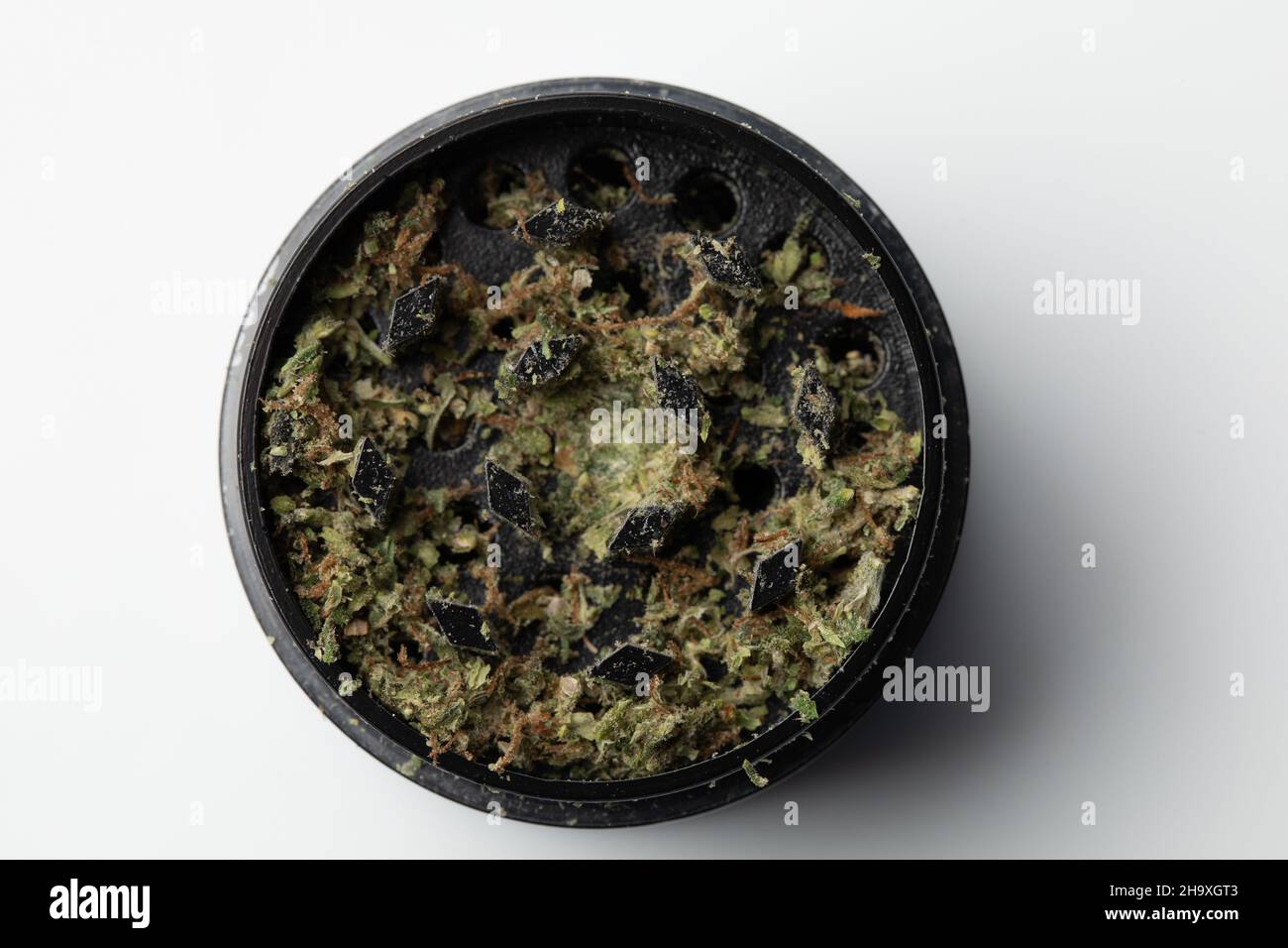 Moler con brotes machacados de marihuana marihuana marihuana cannabis aislado, marihuana medicinal Foto de stock