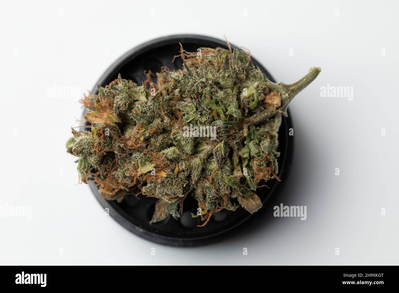 Molinillo negro metálico con brotes de marihuana, marihuana medicinal, marihuana Foto de stock