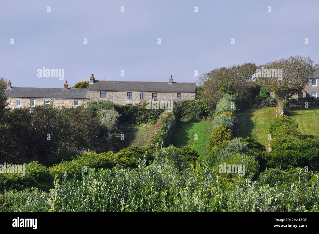 Campos estrechos con coberturas protectoras de pitisporum en St Martin una isla en las islas del archipiélago de Scilly, Cornwall.UK Foto de stock