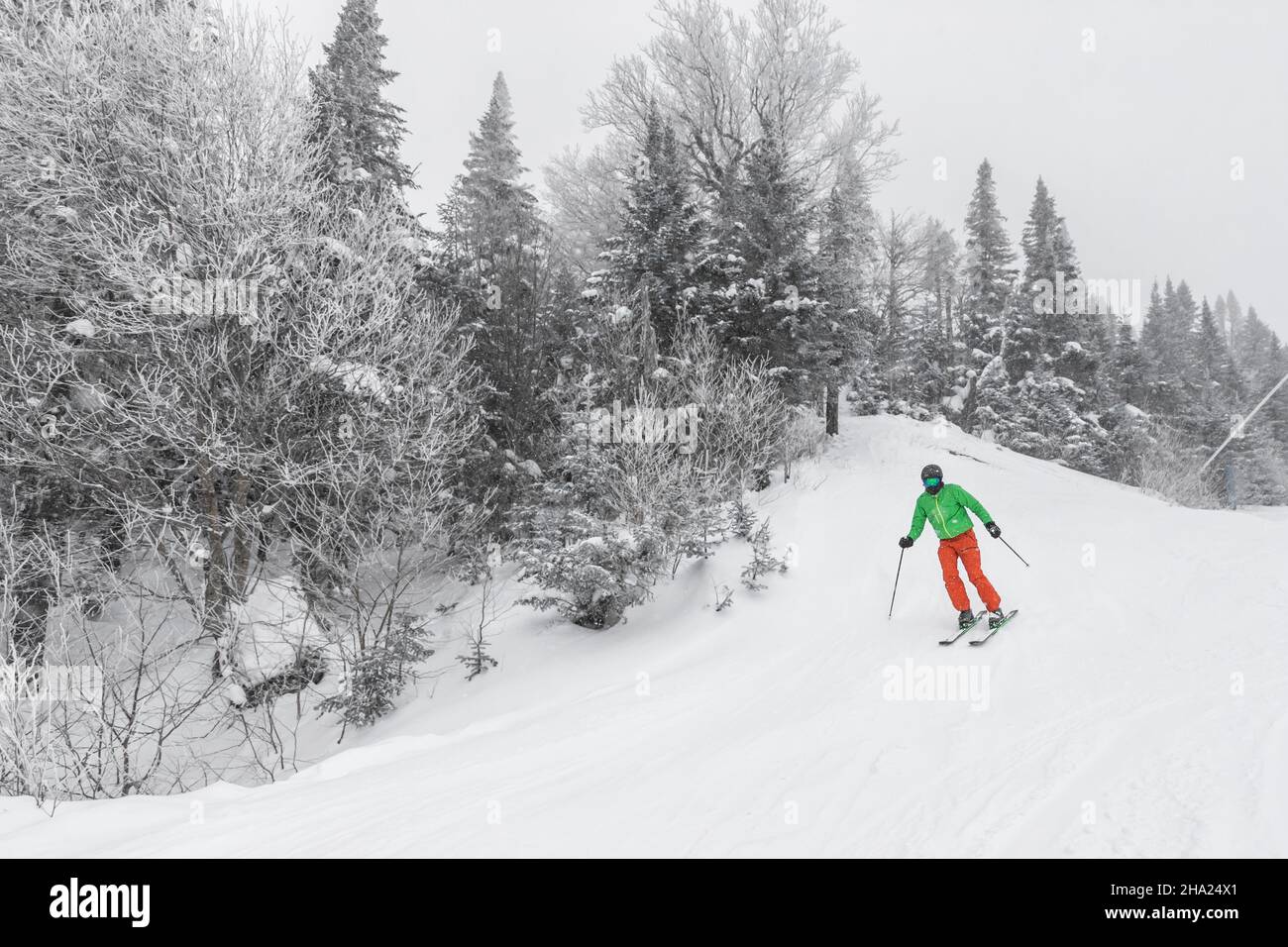 Esquí de invierno. Esquí alpino cuesta abajo en las pistas de esquí cubiertas de nieve de montaña en invierno en perfecto día de nieve mientras disfruta de la naturaleza Foto de stock