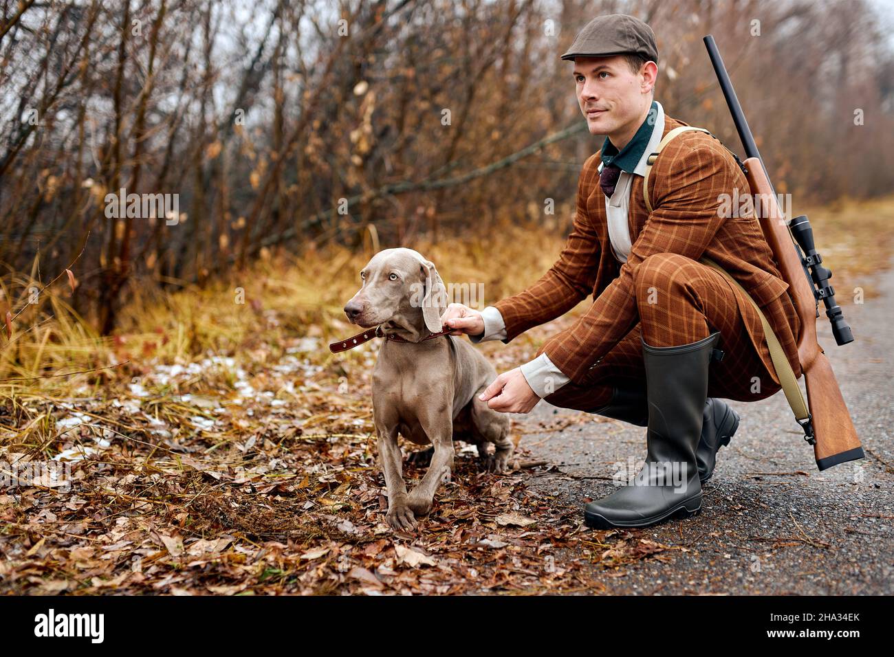 Sonriente hombre europeo confiado en traje marrón de moda con raza de perro  weimaraner paseos en el bosque de campo. Entrenamiento de perros de caza.  Personas y animales Fotografía de stock -