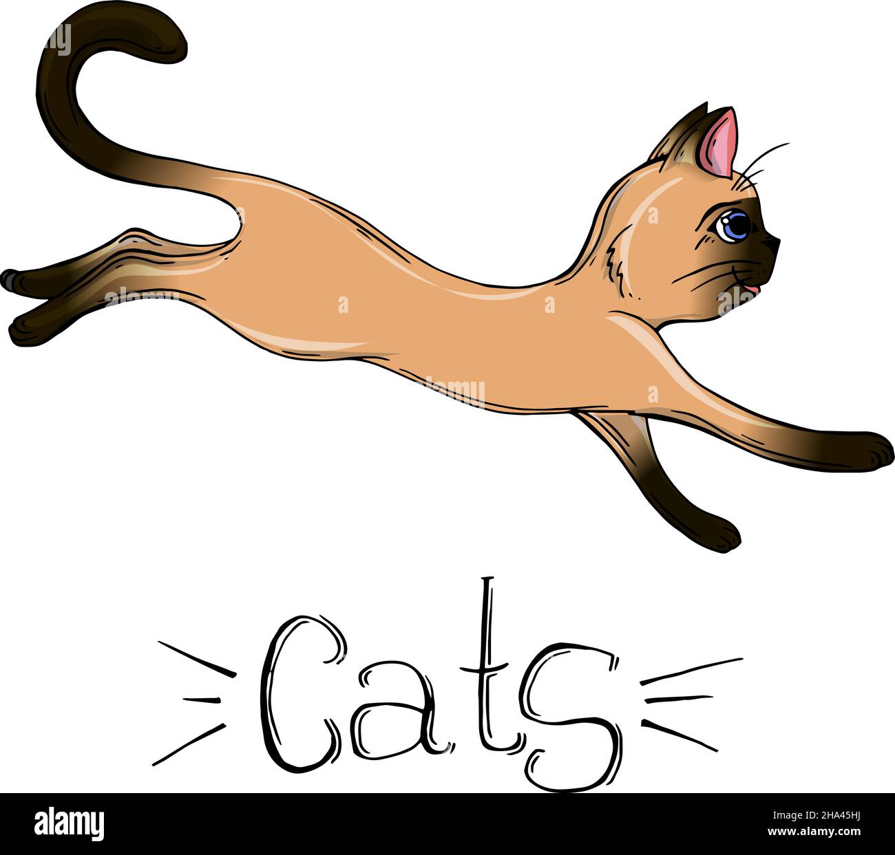 Dibujo Vectorial De Un Gato Siamés Gato De Dibujos Animados Imagen