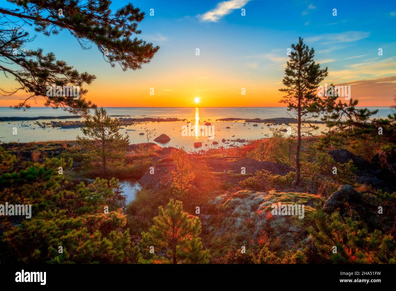 paisaje marino con coloridas plantas con árboles y rocas en el océano durante la salida del sol Foto de stock