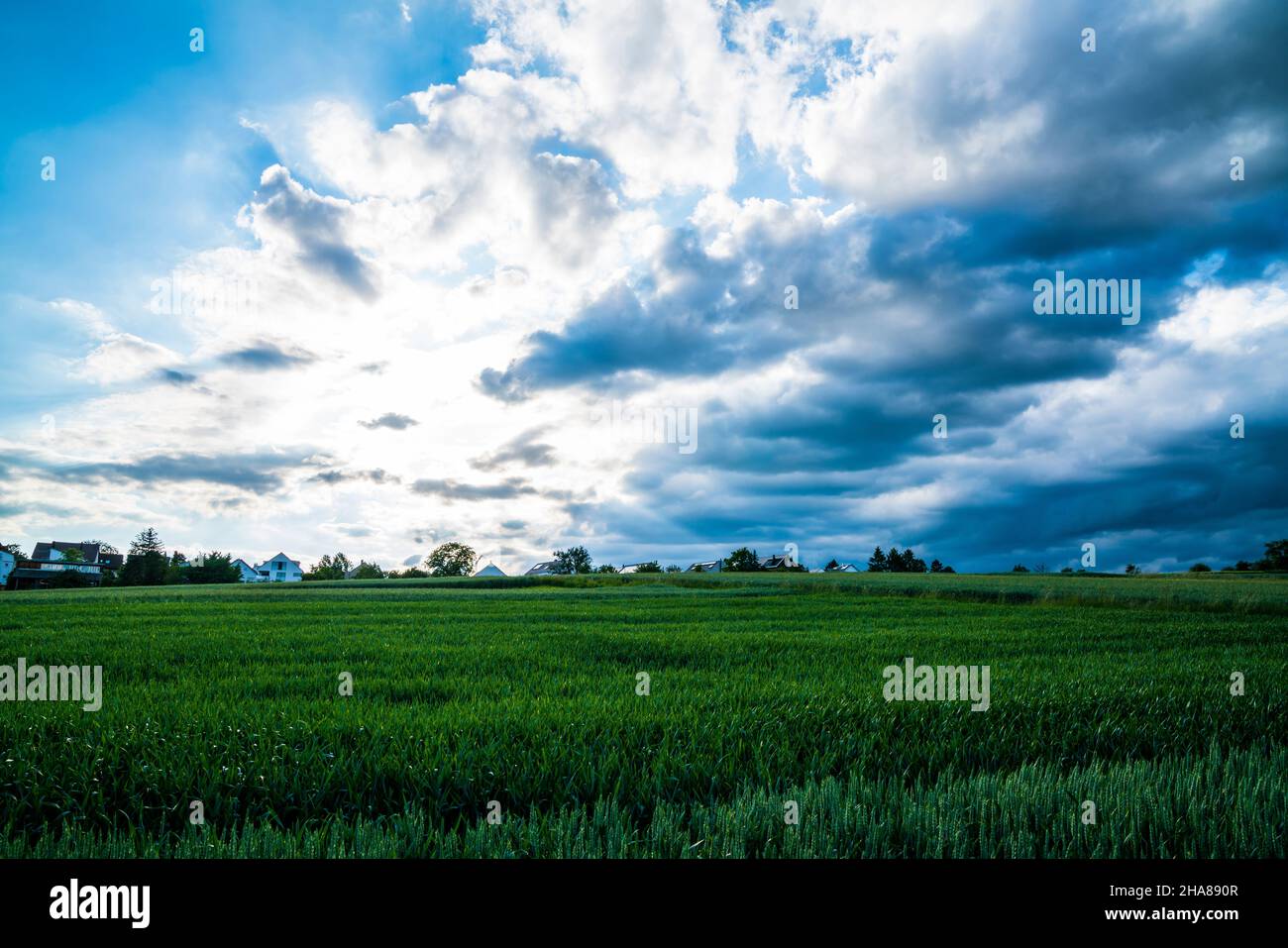 Los campos verdes del paisaje de la naturaleza con el cielo dramático de la tormenta y las nubes oscuras en la estación del verano Foto de stock