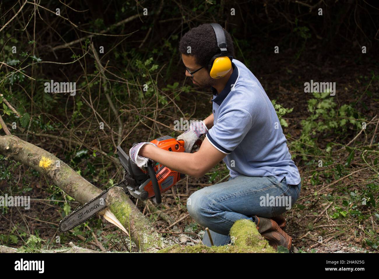 el jardinero está usando una motosierra para podar árboles 7541847 Foto de  stock en Vecteezy