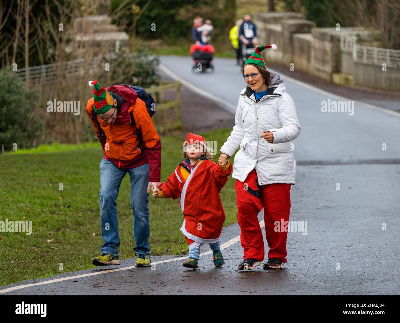 Dalkeith, Midlothian, Escocia, Reino Unido, 12th de diciembre de 2021. Santa Run y Elf Dash: El evento benéfico de recaudación de fondos se lleva a cabo en Dalkeith Country Park para recaudar dinero para CHAS (Hospices de Niños de toda Escocia) En la foto: Participantes en el Elf Dash para los niños más pequeños con dos padres corriendo con un niño pequeño Foto de stock