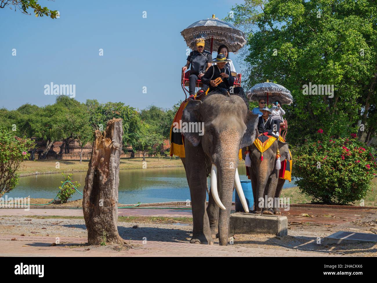 AYUTTHAYA, TAILANDIA - 01 DE ENERO de 2017: Turistas en elefantes en un día soleado. Camine por el casco antiguo Foto de stock