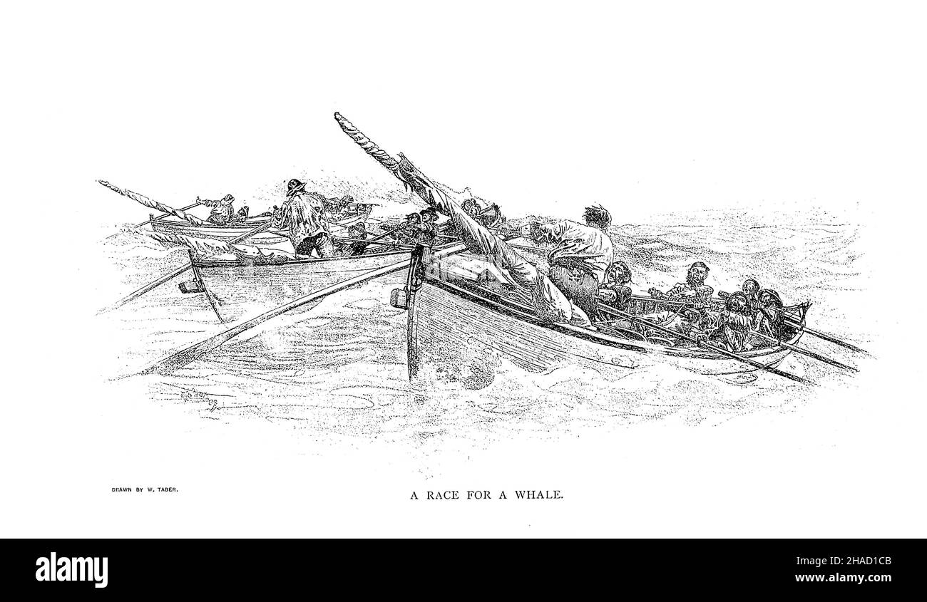 Una carrera por una ballena del ' libro del océano ' por Ernest Ingersoll, fecha de publicación 1898 Editorial: Nueva York, The Century co. Los temas incluyen el océano y su origen.-- olas, mareas y corrientes.--La construcción y aparejos de barcos.--Viajes tempranos y exploración.-- Los secretos ganaron del Norte congelado.--Guerras navales y batallas navales.--Los mercaderes del mar.--Los ladrones de los mares.--Yachting y el placer-paseos en bote.--Los peligros de las profundidades.-- Pesca y otras industrias marinas.--Las plantas del mar y sus usos.--Vida animal en el mar Foto de stock